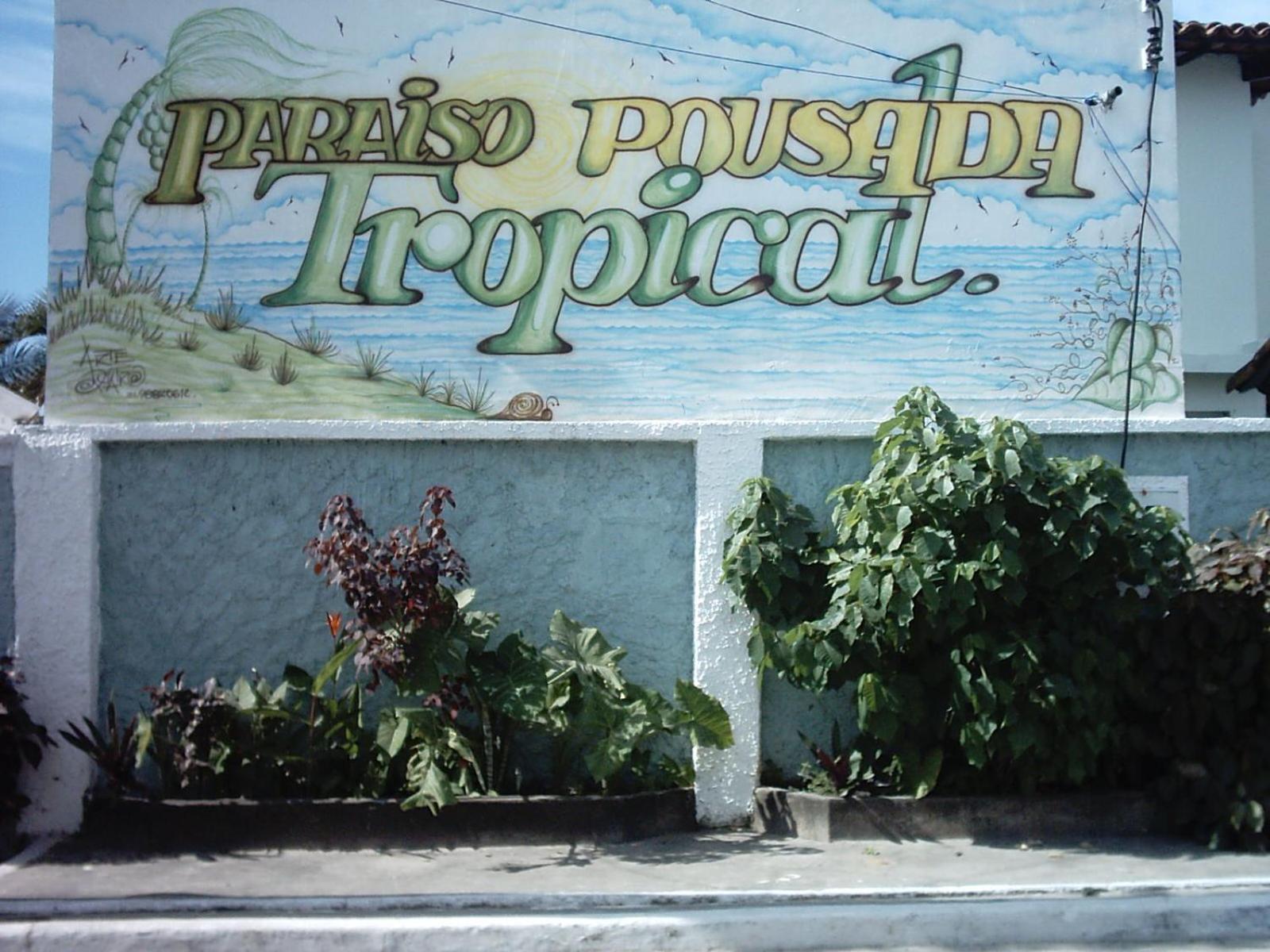 Neves Paraiso Tropical *